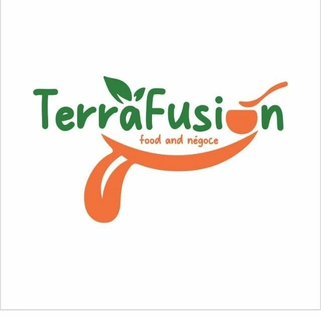 Projet TerraFusion